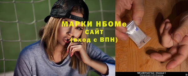 индика Баксан