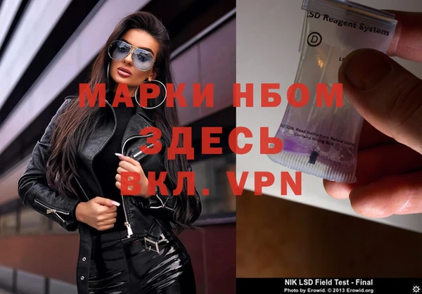 индика Баксан